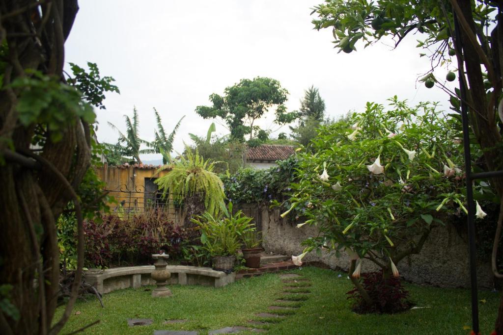 Hotel La Casa De Don Pedro Antigua Esterno foto